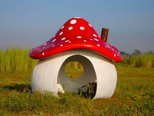 Magical Mushroom Playhouse